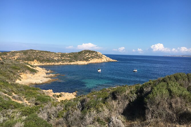 Boat Trip and Snorkeling in the Gulf of Calvi - Common Questions