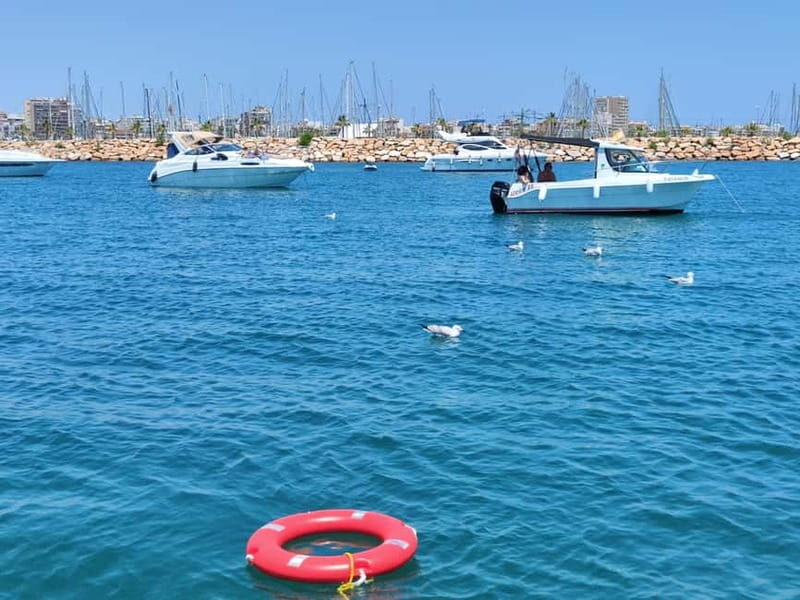 Boat trip and swimming in the sea - An In-Depth Look at the Boat Trip Experience