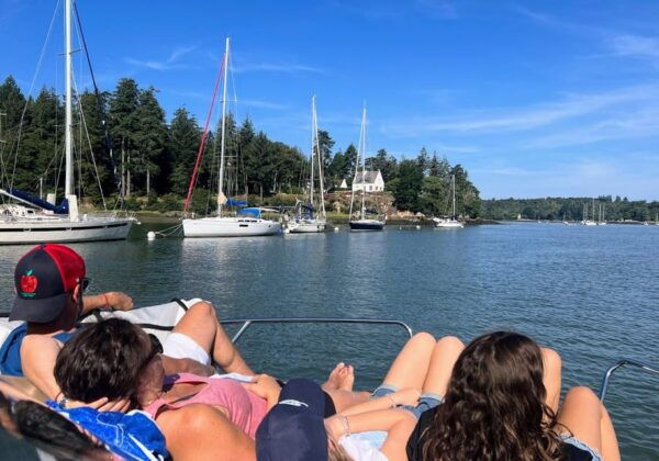Boat Trip Around the Gulf of Morbihan 2-3 Hours - Tips for a Great Trip