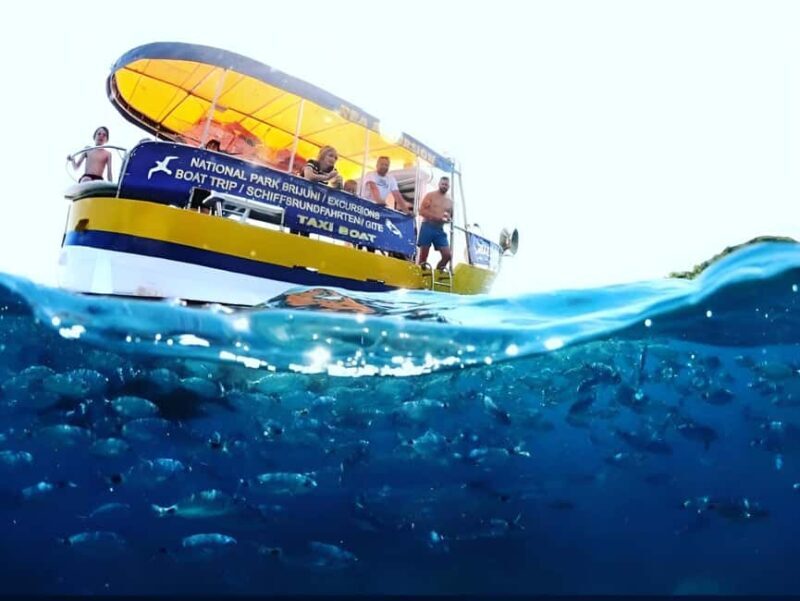 Boat Trip Coastal Tour from Faana to Pula and snorkelling - Practical Details and What to Prepare