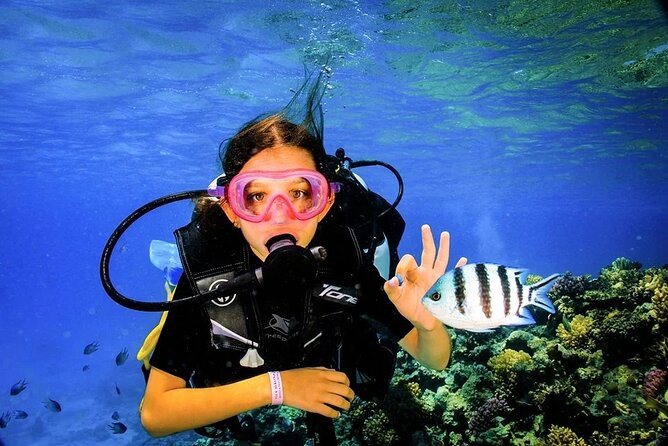 Boat Trip Diving in Hurghada With Lunch and Drinks Included - Booking Information