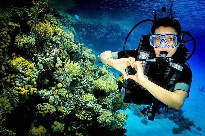 Boat Trip Diving in Hurghada With Lunch and Drinks Included - Pickup and Logistics