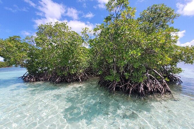 Boat trip EN 1/2 Day in the Grand Ass DE Sac Marin - What’s Included and What You Should Bring