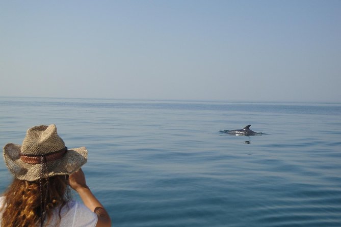 Boat Trip for Dolphin Watching Along the Arrabida Coast and Sesimbra - Common Questions