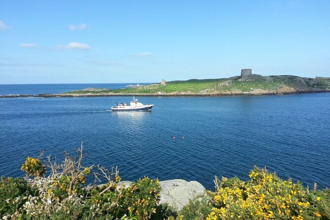 Boat Trip From Dublin City to Dun Laoghaire - Overall Rating