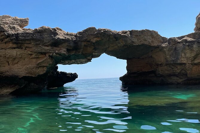 Boat Trip: Grotta Del Fico, Cala Mariolu, Gabbiani & Biriala - Additional Information