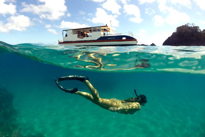 Boat Trip in Fernando De Noronha - Overview of Fernando De Noronha