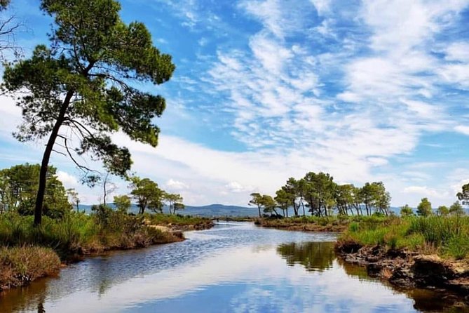 Boat Trip in Karavasta National Park and Apollonia Archaeological Park - Transportation
