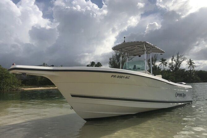 Boat trip in palomino /icacos /fajardo Puerto Rico - Good To Know