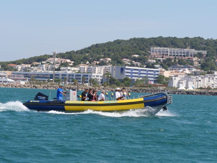 Boat Trip in the Canals Is on the Thau Pond - Activity Details
