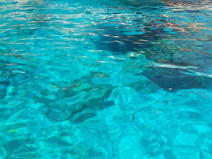 Boat Trip in the Gulf of Orosei, From Cala Ginepro - Experience Highlights