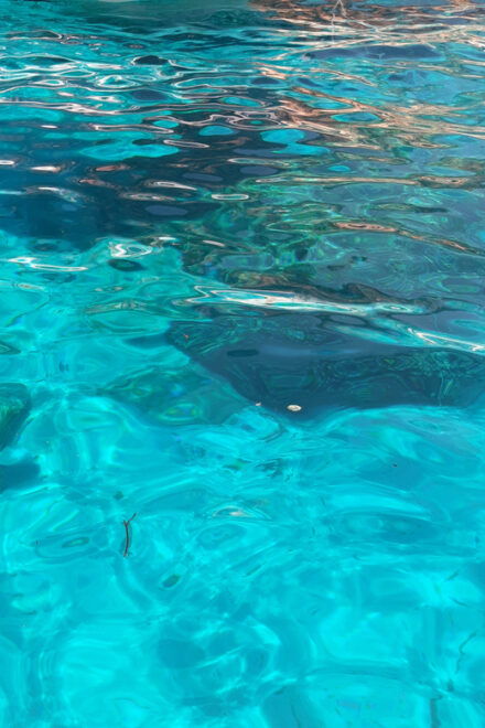 Boat Trip in the Gulf of Orosei, From Cala Ginepro - Frequently Asked Questions