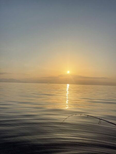 Boat Trip - Pricing and Availability