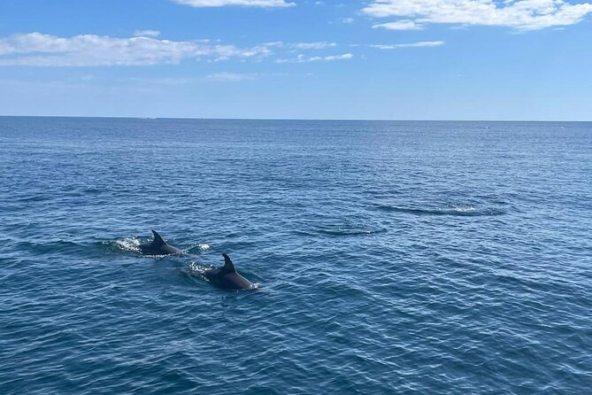 Boat Trip Through the Bay of Estepona Martingala - The Sum Up