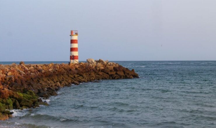 Boat Trip Through the Ria Formosa Natural Park and Islands - Booking Information