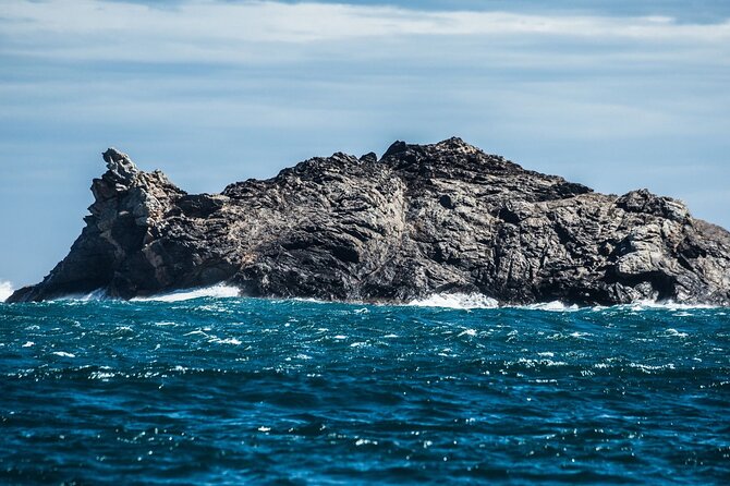 Boat Trip to Cap De Creus + Port Lligat + Cadaqués - Frequently Asked Questions