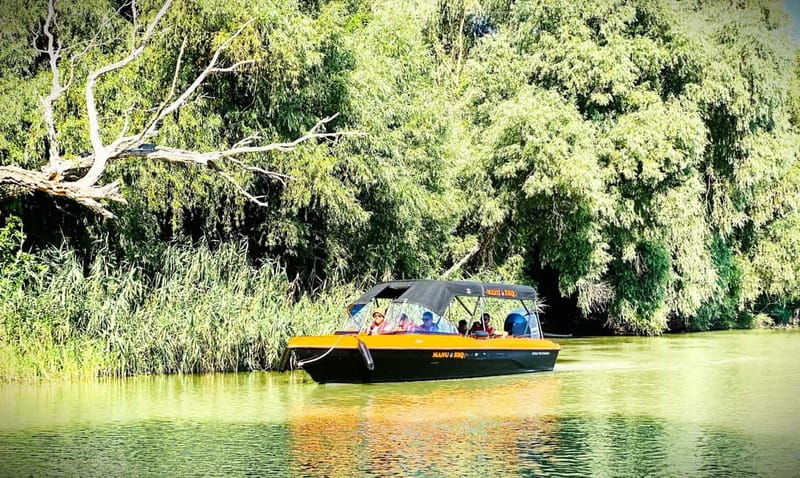 Boat Trip to Caraorman Forest  Danube Delta (67 hours) - Practical Details and Tips for Your Trip