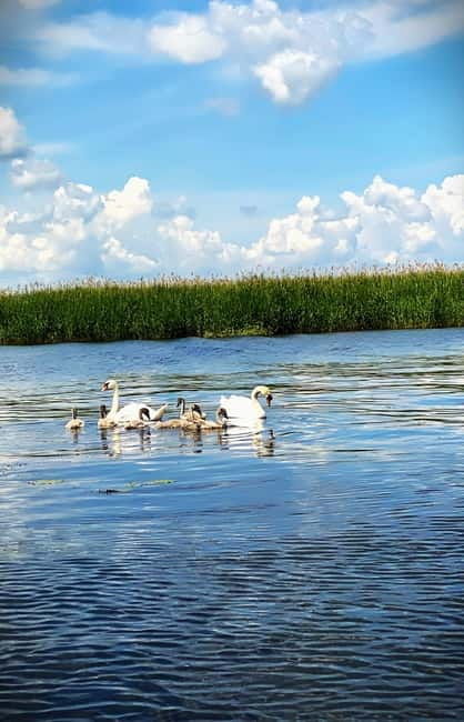 Boat Trip to Caraorman Forest  Danube Delta (67 hours) - The Sum Up