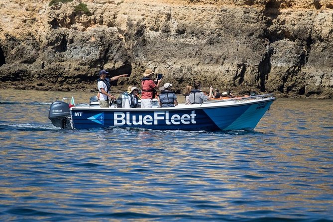 Boat Trip to Ponta Da Piedade From Lagos - Common Questions