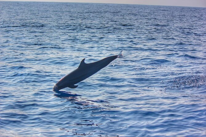Boat Trip to See Marine Life in Puerto Escondido - Meeting and Pickup Details