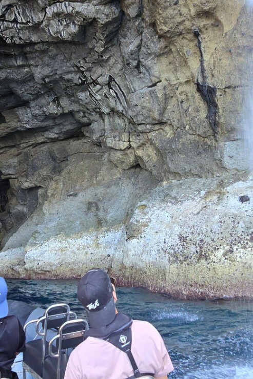 Boat Trip to the Caves and Waterfalls of Flores Island - Experience Highlights