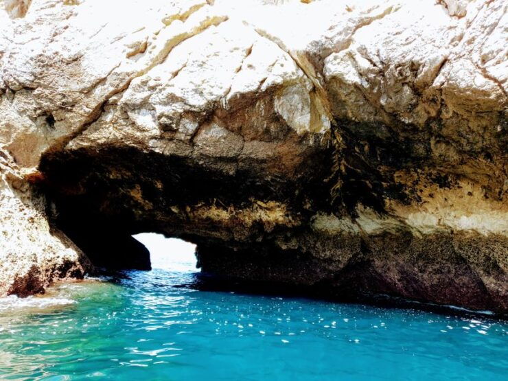 Boat Trip to the Caves Sesimbra - Experience Highlights