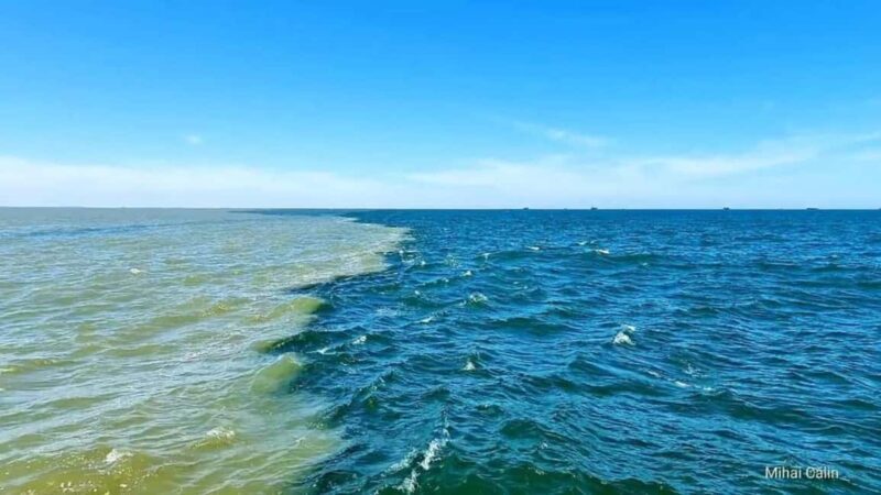 Boat trip to the Danube's mouth at the Black Sea - What Sets This Tour Apart