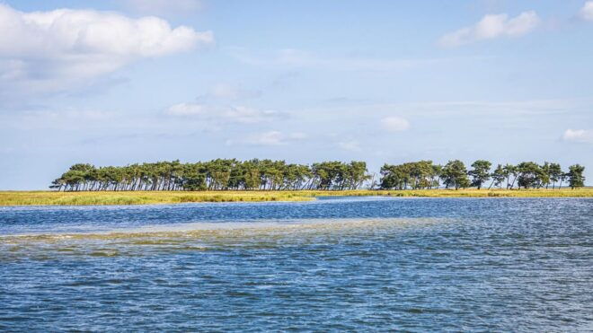 Boat Trip to the Hanseatic City of Stralsund - Important Information