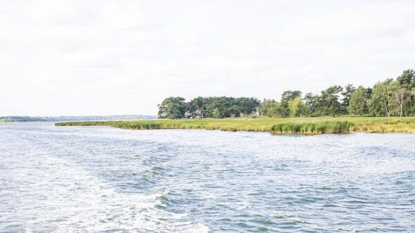 Boat Trip to the Hanseatic City of Stralsund - Nearby Attractions to Explore