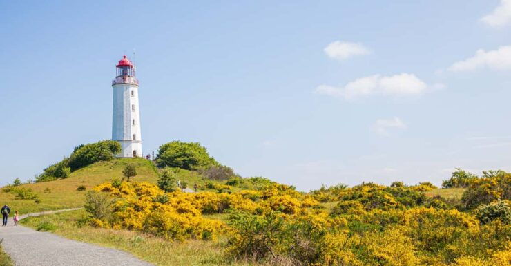 Boat Trip to the Island of Hiddensee From Zingst - Key Points