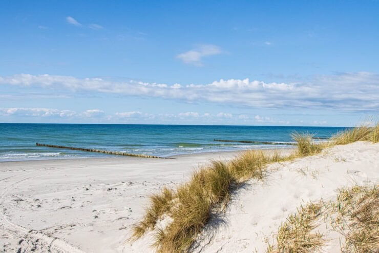 Boat Trip to the Island of Hiddensee From Zingst - Itinerary Highlights