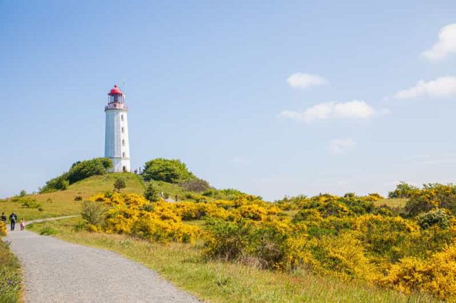 Boat Trip to the Island of Hiddensee From Zingst - Travel Experience