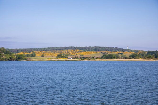 Boat Trip to the Island of Hiddensee From Zingst - Important Details