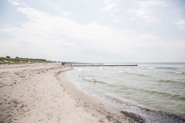 Boat Trip to the Island of Hiddensee From Zingst - Customer Feedback and Ratings