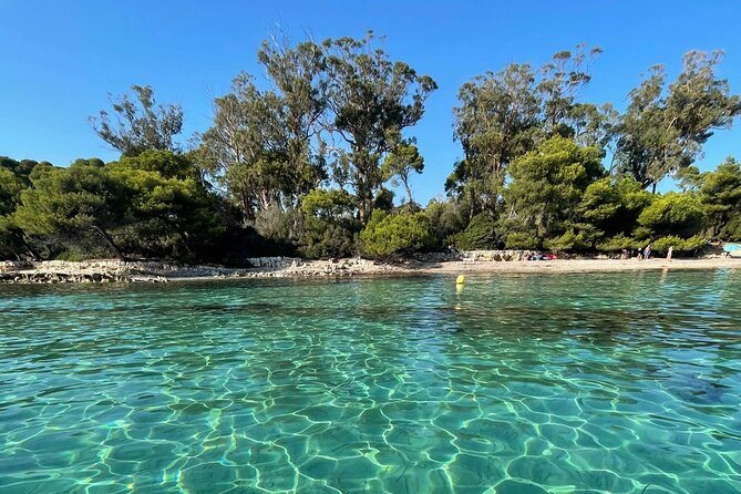 Boat Trip to the Lérins and Cannes Islands - Boat Trip Itinerary
