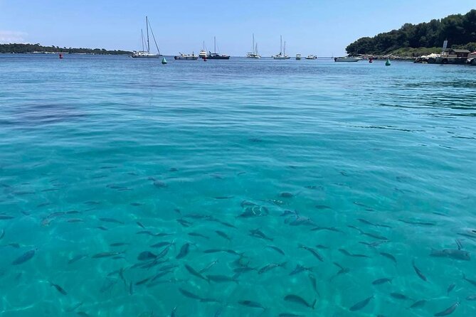 Boat Trip to the Lérins and Cannes Islands - Booking and Reservation Details