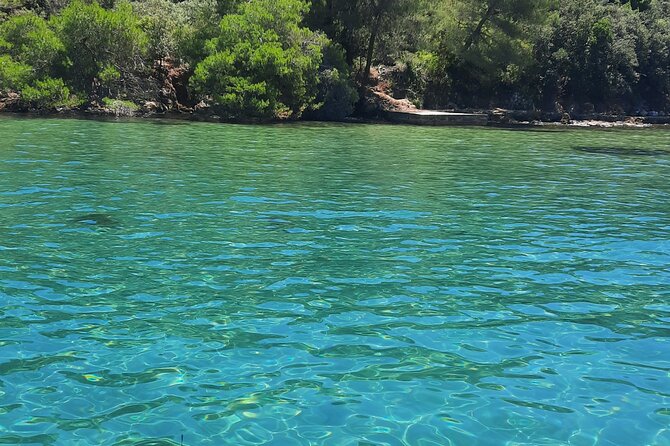 Boat Trip to the Nearby Islands of Zadar - Reviews and Testimonials