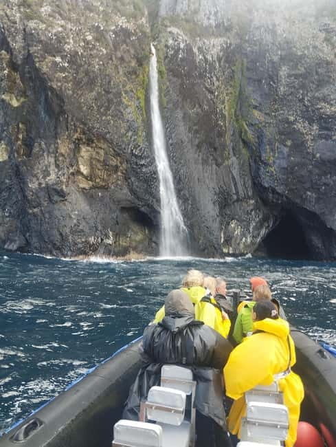 Boat trips to Corvo Island - Who Should Consider This Tour?