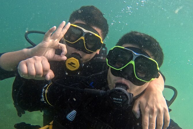 Boat Try Scuba Diving Tour in Dubai - Inclusions
