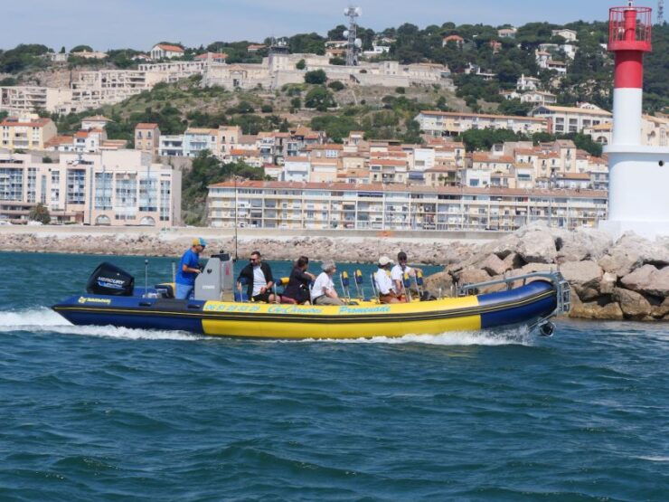 Boat Walk in Sete on the Singular Island 1 Hour - Experience Highlights