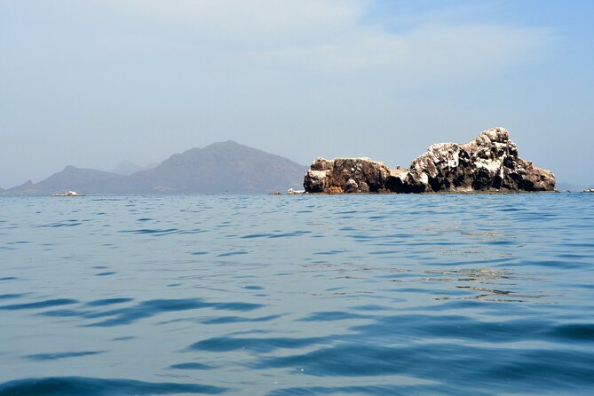 Boating Along the Coastline of San Carlos With a Marine Biologist - Educational Insights and Facts