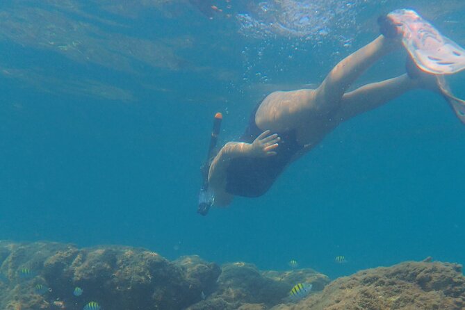 Boating Along the Coastline of San Carlos With a Marine Biologist - Scenic Views and Photo Opportunities