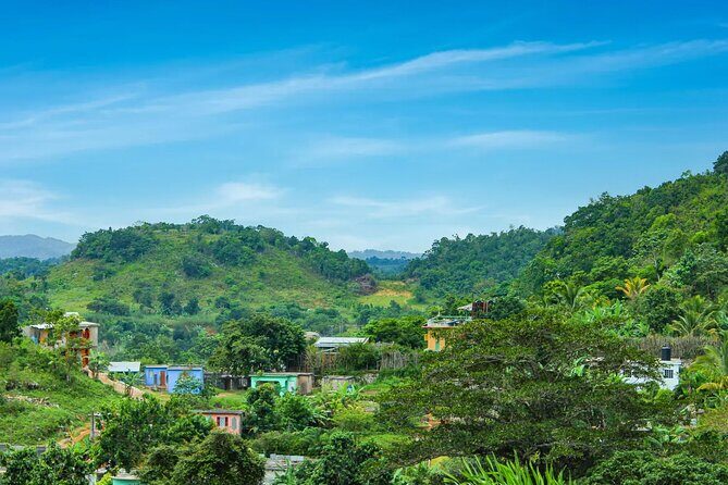 Bob Marley Nine Mile Admission and Guided Tour from Ocho Rios - Final Summary