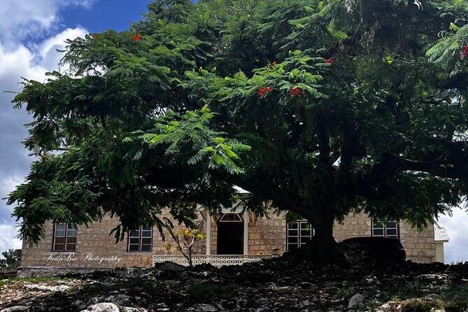 Bob Marley & Nine Mile Heritage Tour with Bus Transfer/Ocho Rios - FAQ