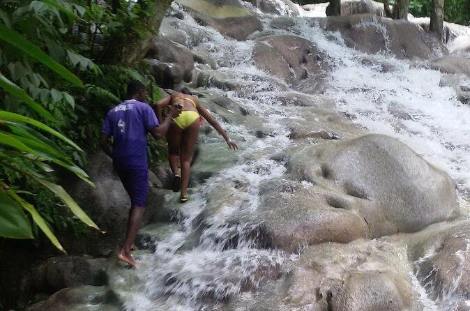 Bobsled Mystic Mountain - Dunn's river - Bob Marley From Ocho Rios - What’s Included and What to Expect