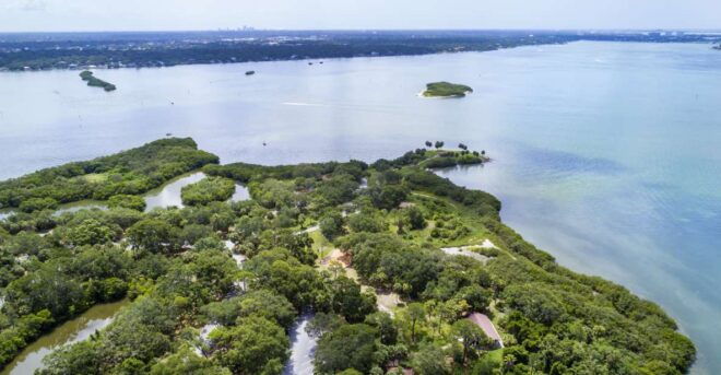 Boca Ciega Bay Island Kayak Tour - Activity Description