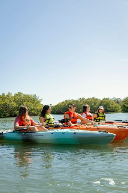 Boca Ciega Bay Island Kayak Tour - Customer Review