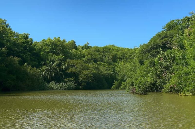 Boca de Yuma Tour - Dominican Cultural Immersion - Who Will Love This Tour?