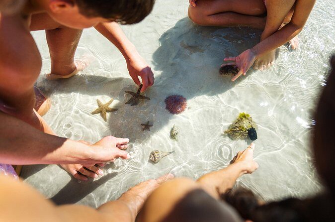 Boca Grande Kayaking Tour - Who Is This Tour Best Suited For?