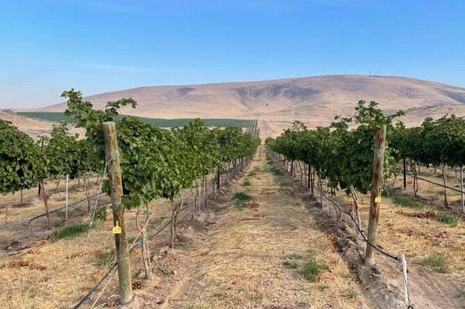 Bodacious Bordeaux Wine Tasting Pass in Woodinville - Exploring the Woodinville Wine Tasting Pass Itinerary
